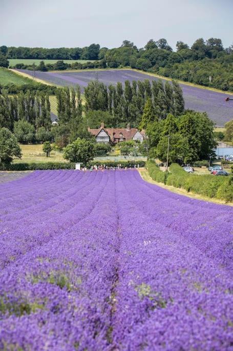 White Hill Lodge - Rustic Cabin Set In A Stunning Meadow Sevenoaks Exteriör bild